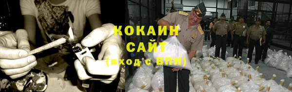 шишки Верея