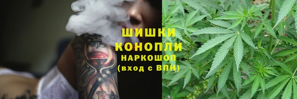 шишки Верхнеуральск