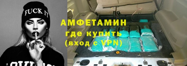 шишки Верея