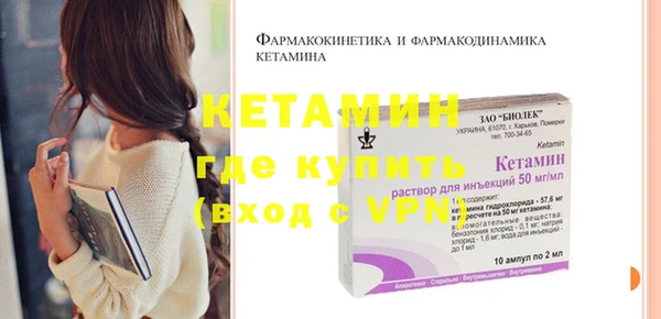 шишки Верея