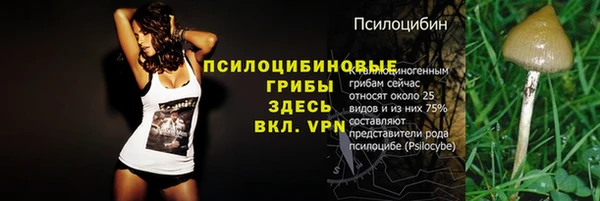 шишки Верхнеуральск