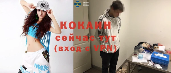 шишки Верея