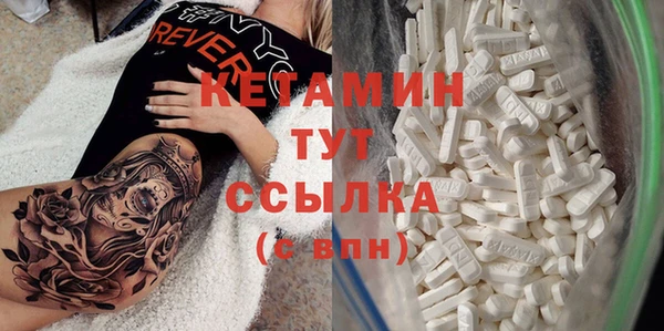 шишки Верея