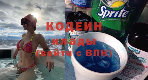 шишки Верея