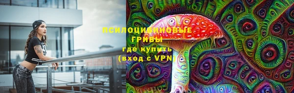 шишки Верея