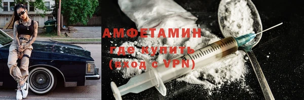 шишки Верея