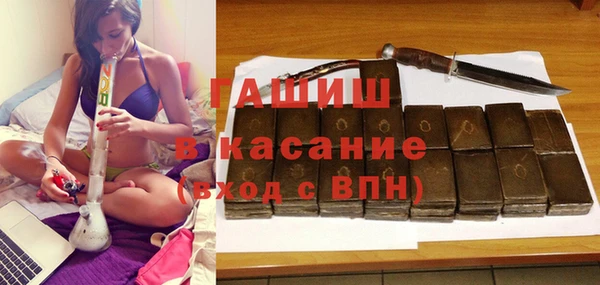 шишки Верея