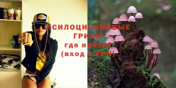 шишки Верея