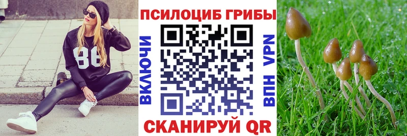 Галлюциногенные грибы Magic Shrooms Алзамай