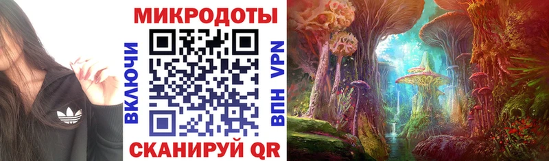 Галлюциногенные грибы MAGIC MUSHROOMS  Купить где  Алзамай 